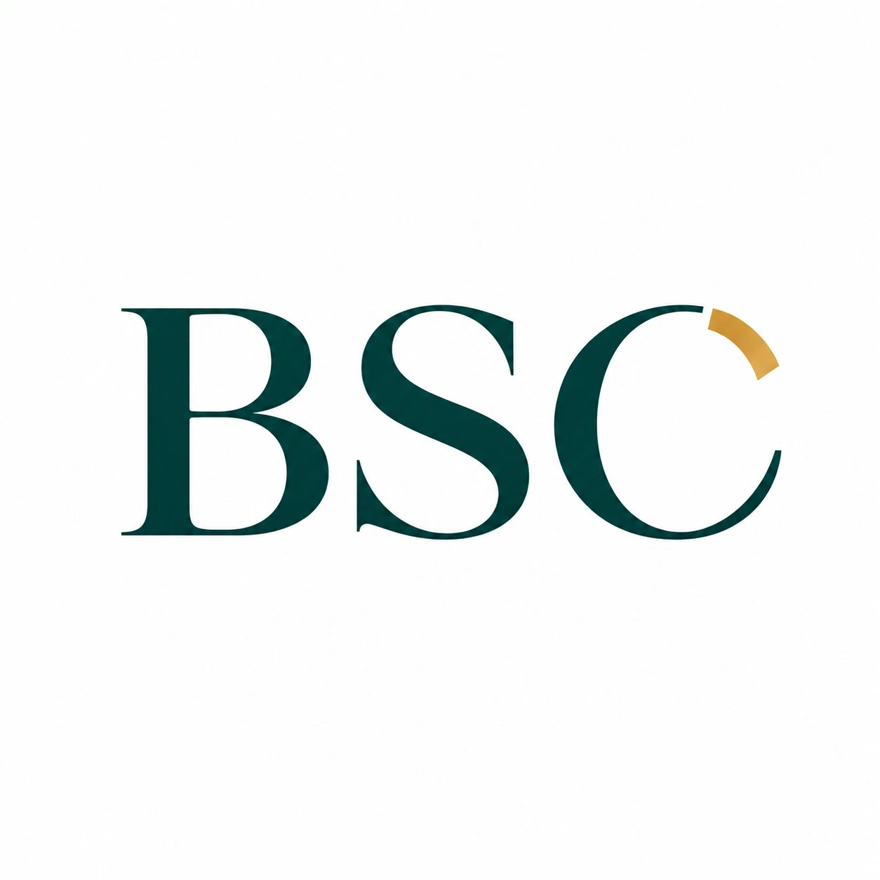 Logo BSC Community