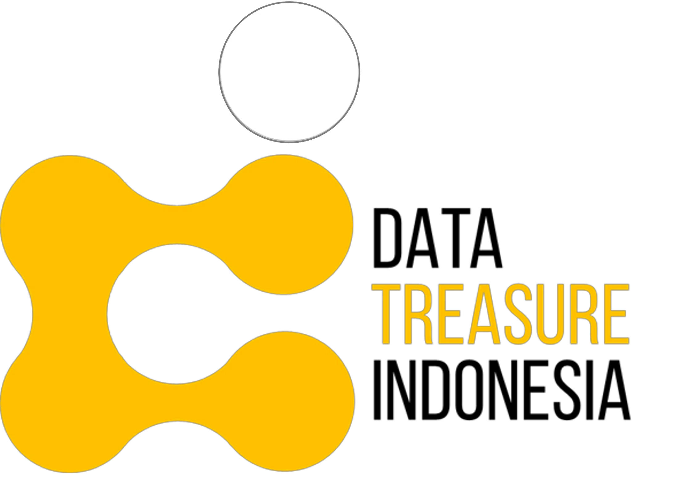 Logo Data Treasure Indonesia