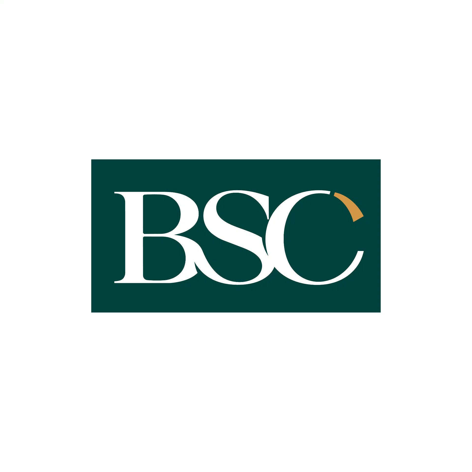 Logo BSC Community